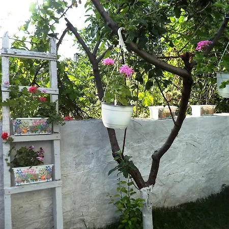 Βίλα Beyaz Ev Gokceada *
